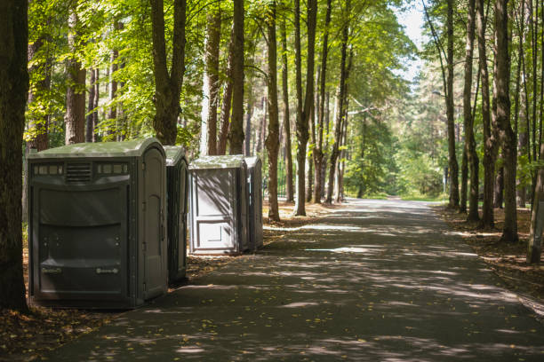 Best High-end porta potty rental  in Sheldon, IL